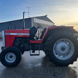 Massey Ferguson 385