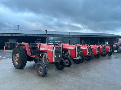 Massey Ferguson x6 290